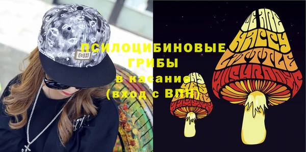 гашик Липки