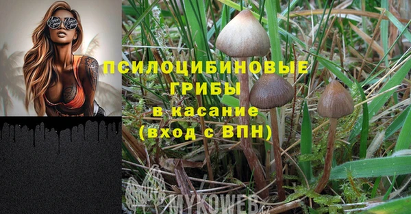 прущая мука Абаза