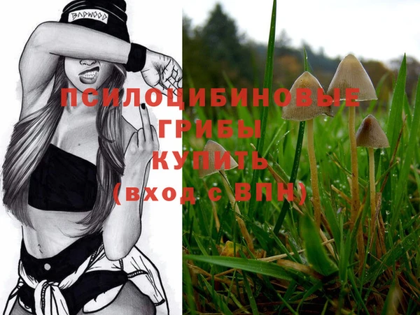 jwh Козельск