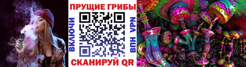 Галлюциногенные грибы Cubensis  Монино 